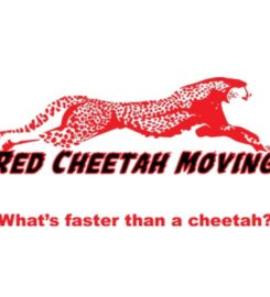 Red Cheetah Moving
