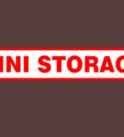 Mini-Storage Inc